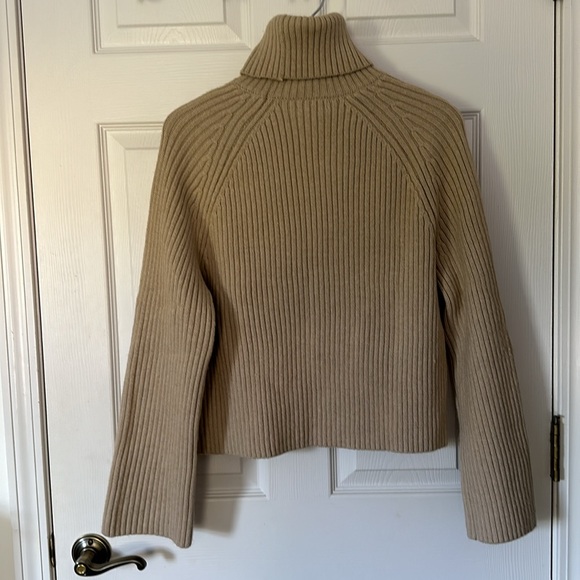 H&M Cropped Turtleneck - Picture 4 of 4